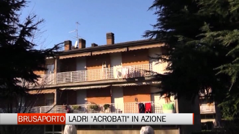 Filo spinato sui tubi contro i ladri acrobati delle case popolari -  Corriere Bergamo